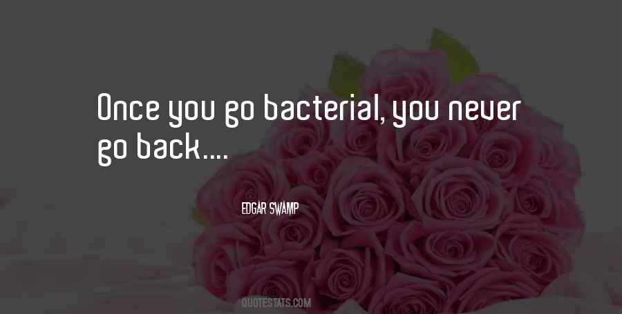 Never Go Back Quotes #556034