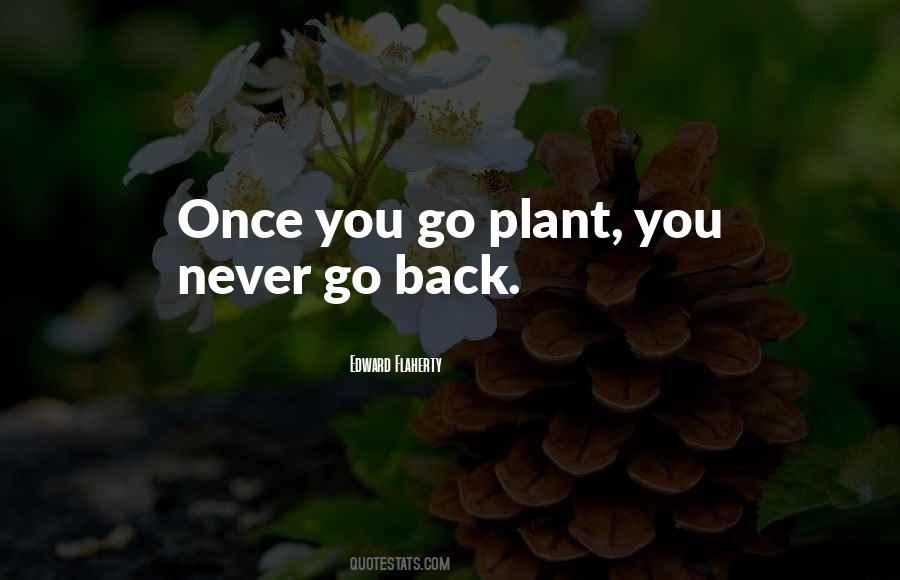 Never Go Back Quotes #715090