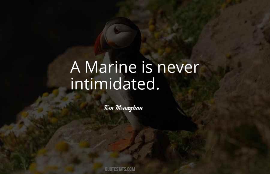Never Intimidated Quotes #1685901