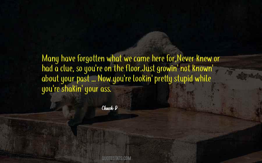 Never Knew Quotes #1309533