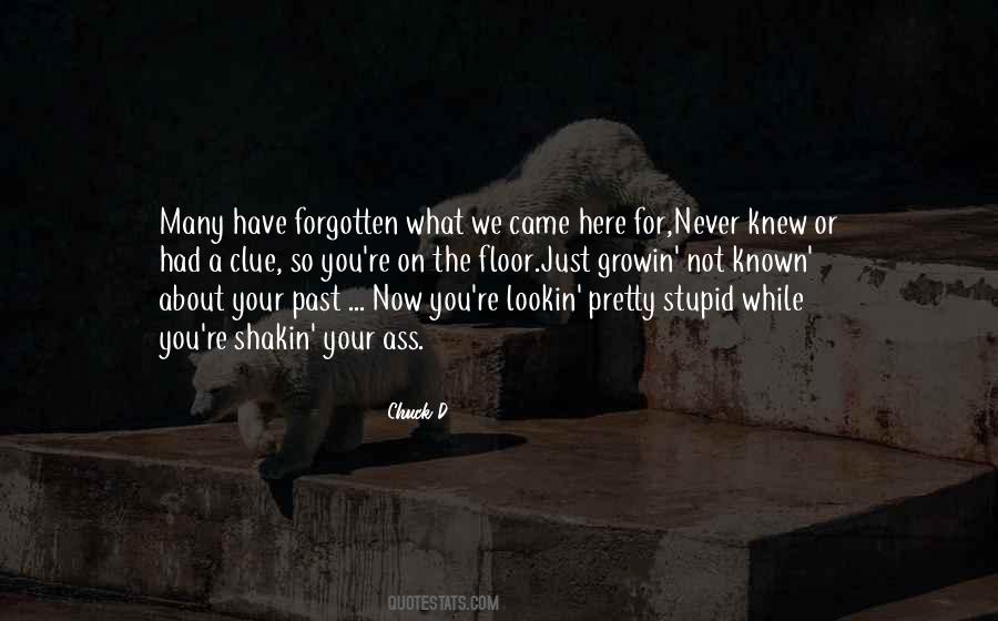 Never Knew What You Had Quotes #1309533