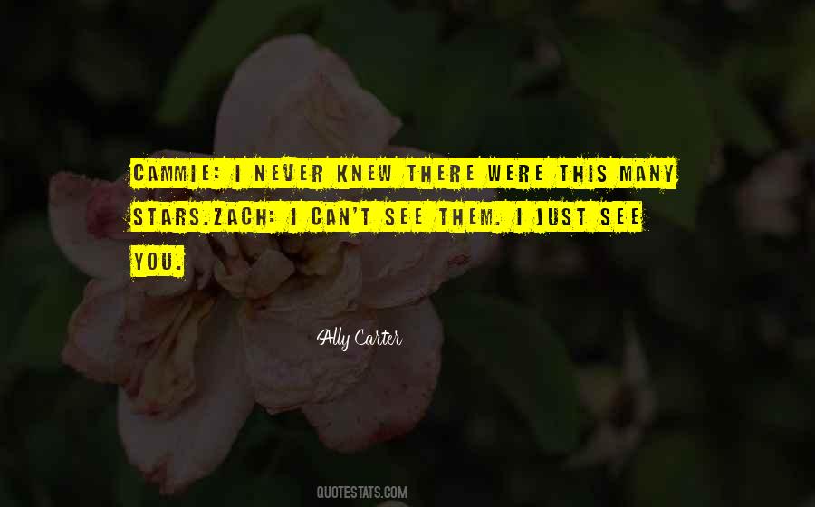 Never Knew You Quotes #103179
