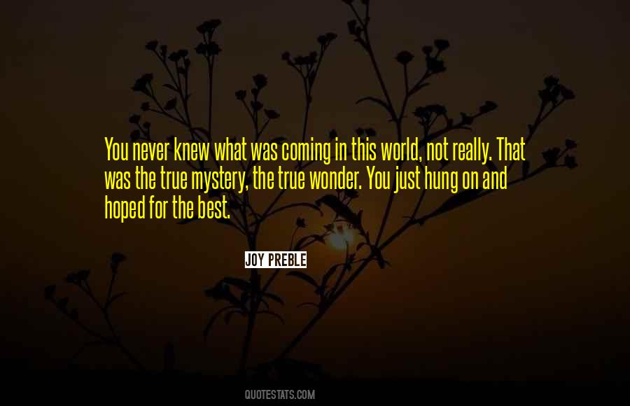 Never Knew You Quotes #150285