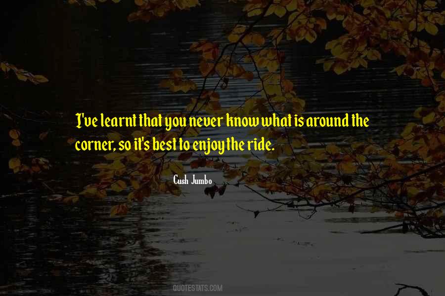 Never Know What's Around The Corner Quotes #422251