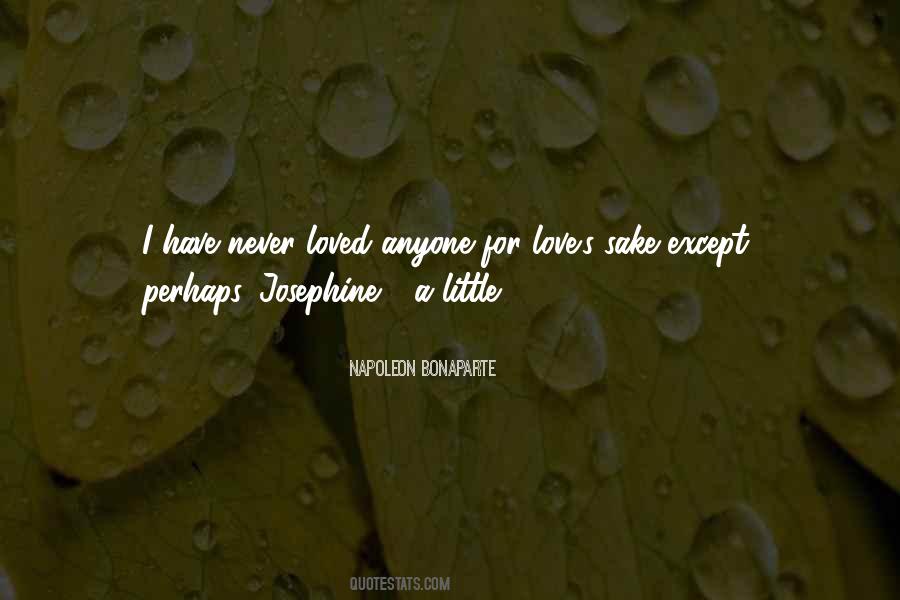 Never Love Anyone Quotes #534744