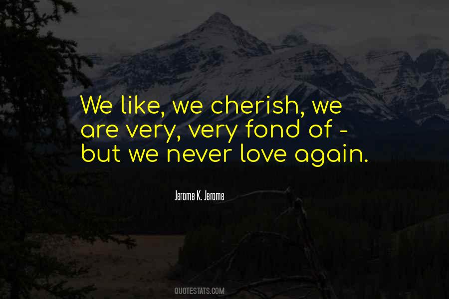 Never Love Quotes #1009807