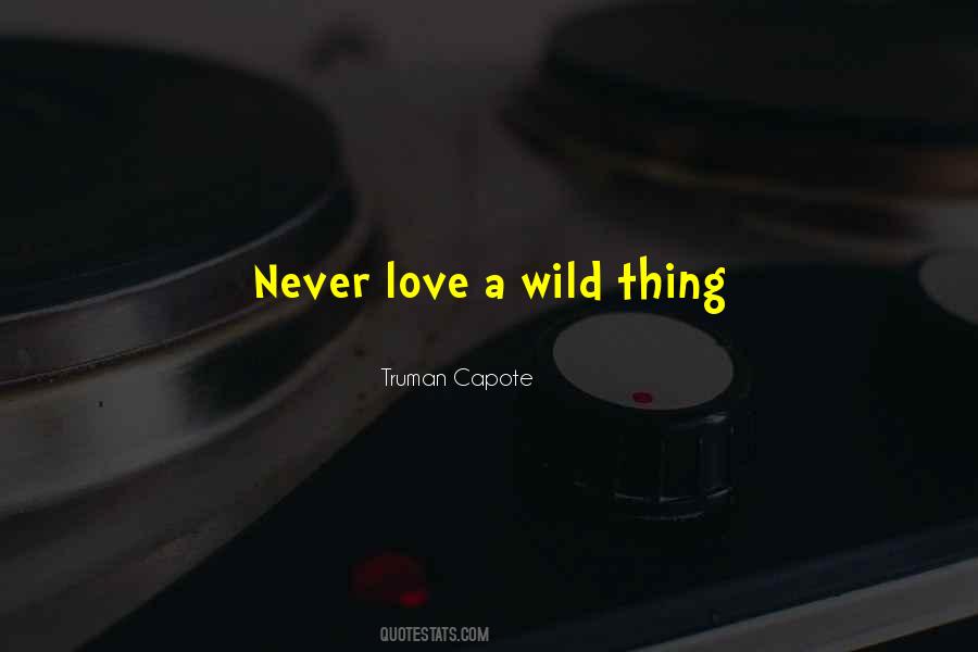 Never Love Quotes #255535