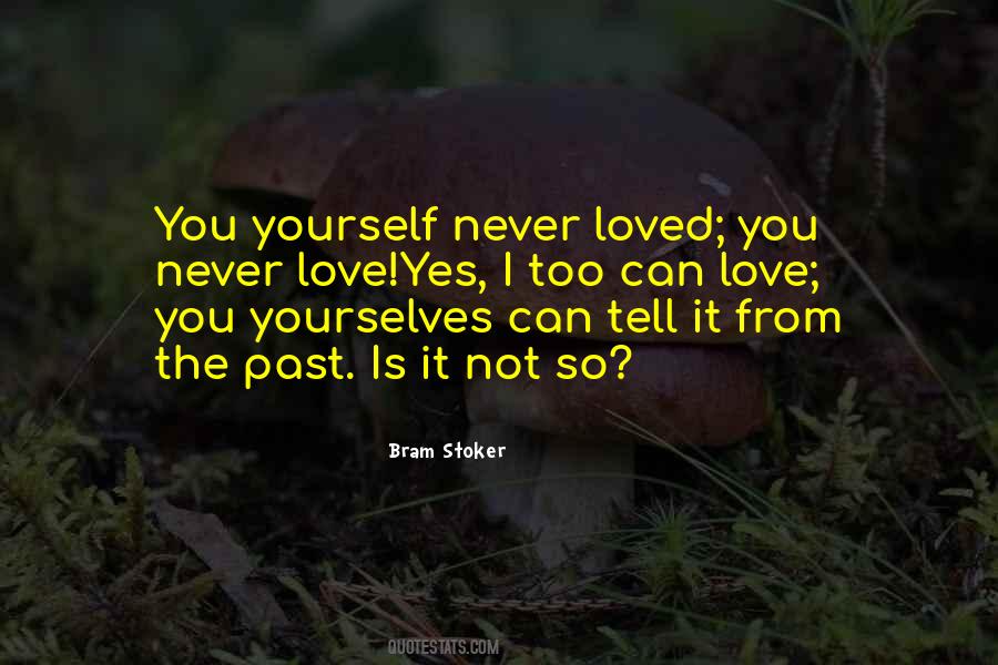 Never Loved You Quotes #1024521