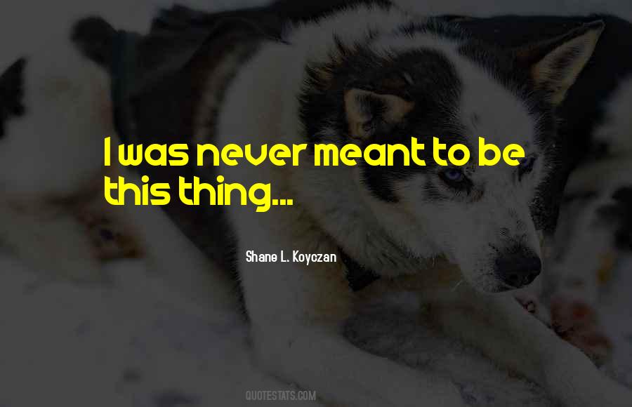Never Meant To Quotes #1424058