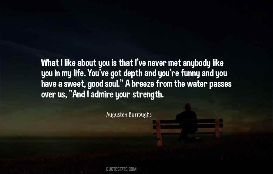 Never Met Someone Like You Quotes #8210