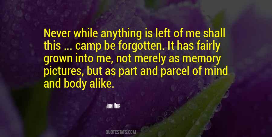 Never Mind Me Quotes #312818