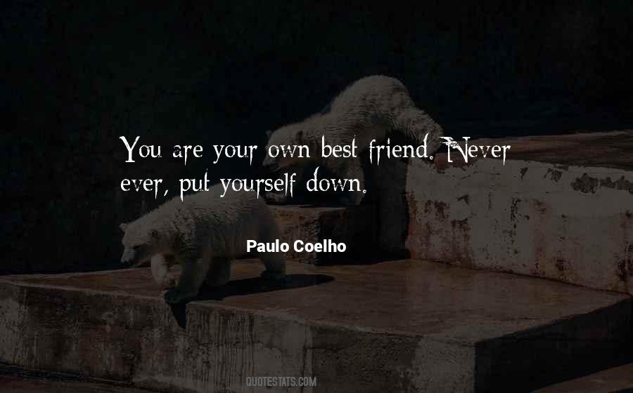 Never Put Down Quotes #1573514