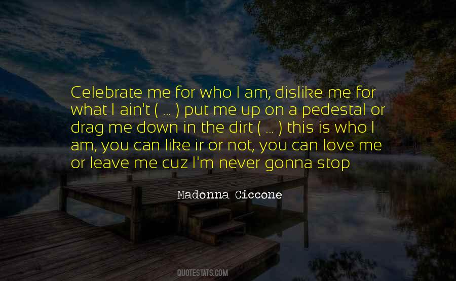 Never Put Me Down Quotes #280662