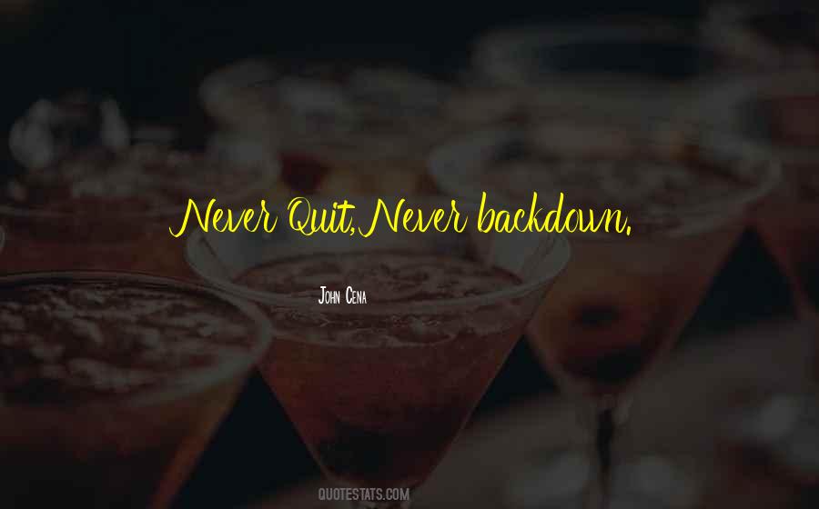 Never Quit Quotes #322228