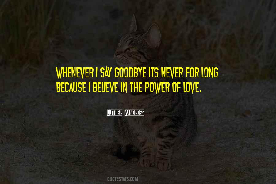 Never Say Goodbye Quotes #869503