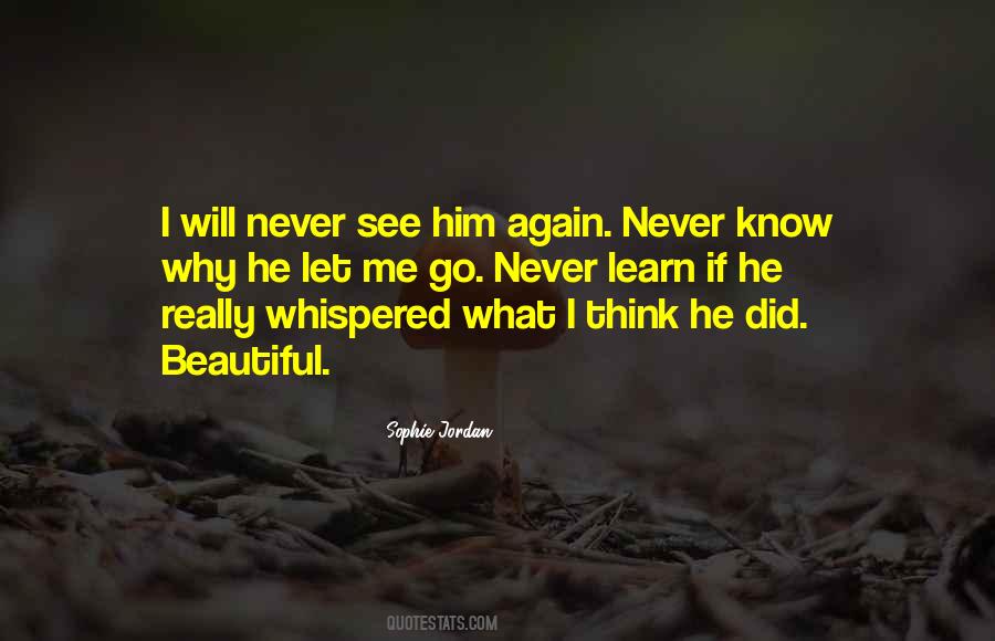 Never See Me Again Quotes #680854
