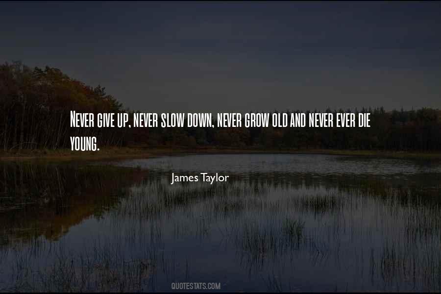 Never Slow Down Quotes #1789529