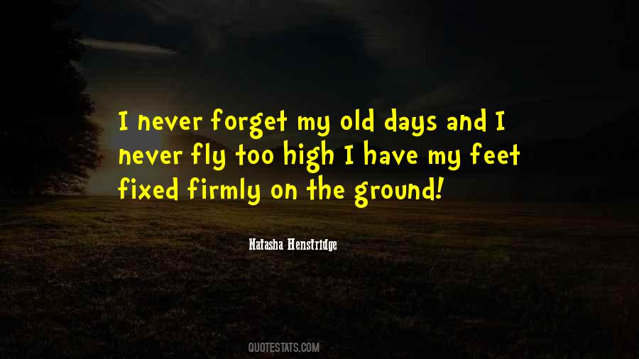 Never Too Old Quotes #703636