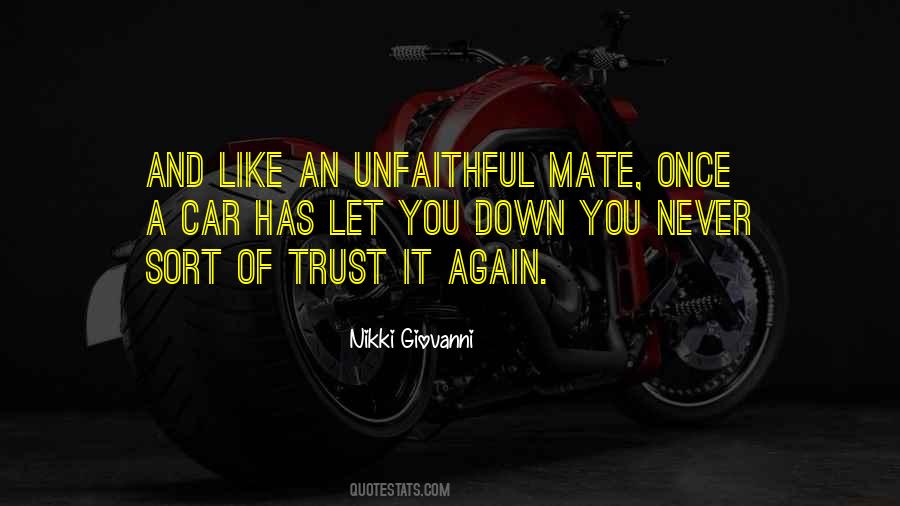 Never Trust Again Quotes #1364042