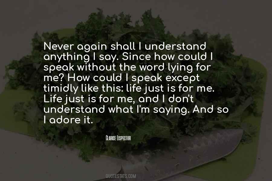 Never Understand Life Quotes #488722