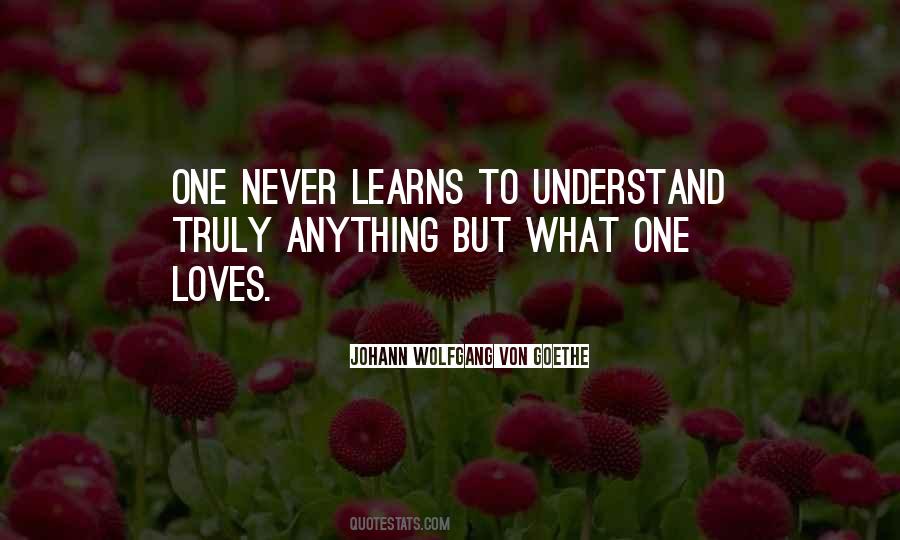 Never Understand My Love Quotes #377115