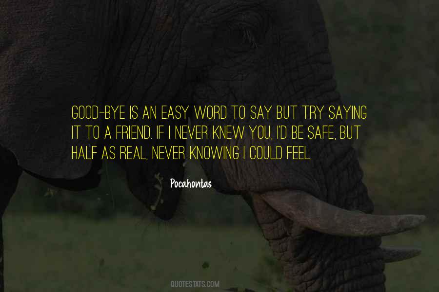 Never Want To Say Goodbye Quotes #554619