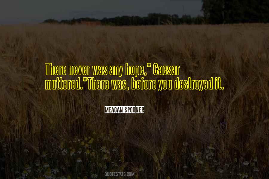 Never Was Quotes #1227396