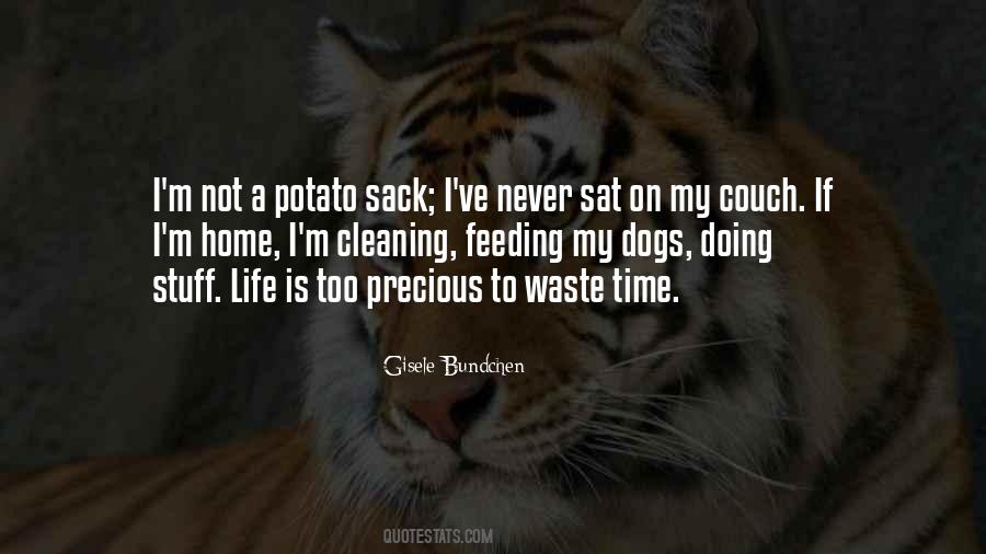 Never Waste Time Quotes #66833