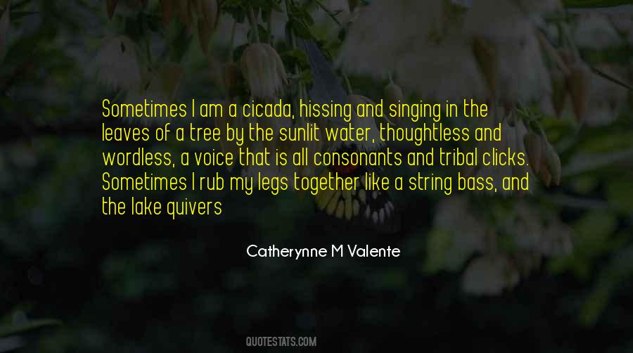 Quotes About Catherynne #110769