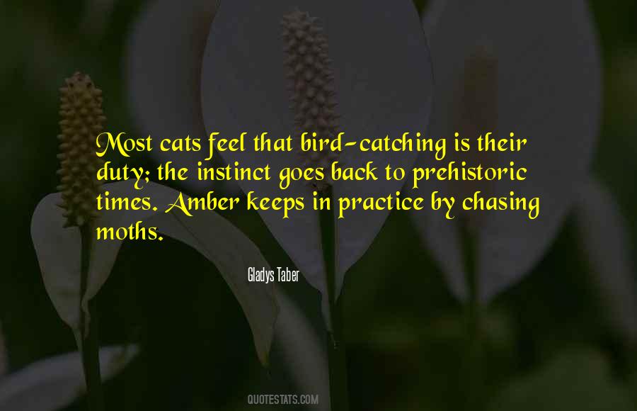 Quotes About Catching Someone #34