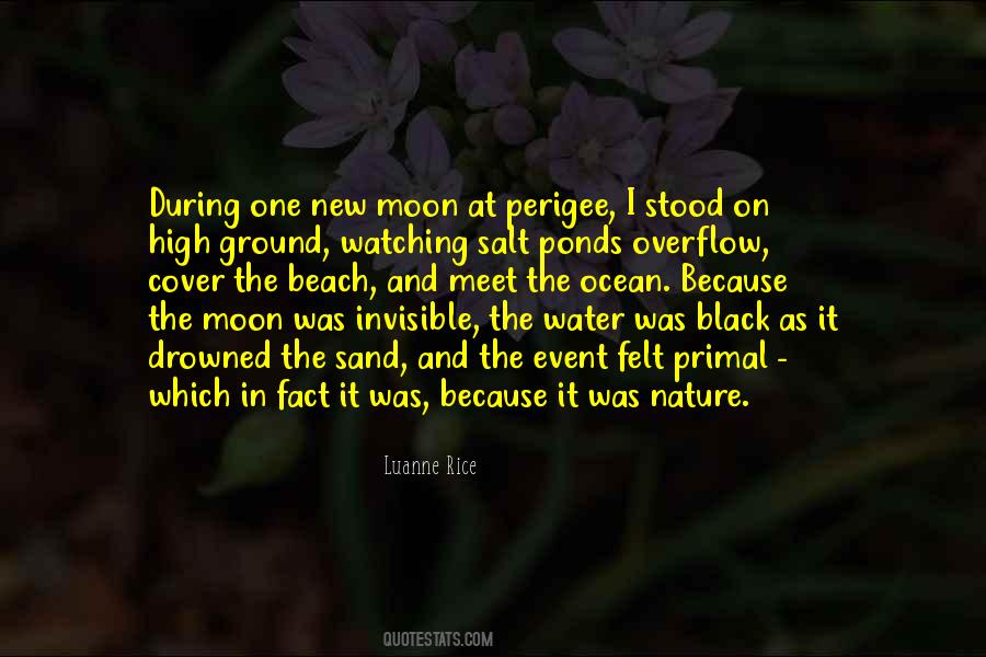 New Moon Quotes #192471