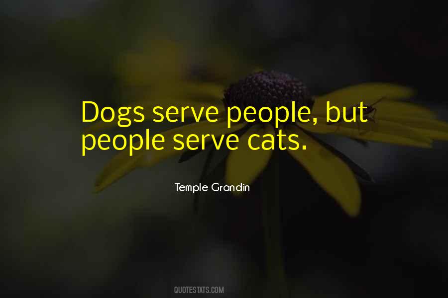 Quotes About Cat People #15828