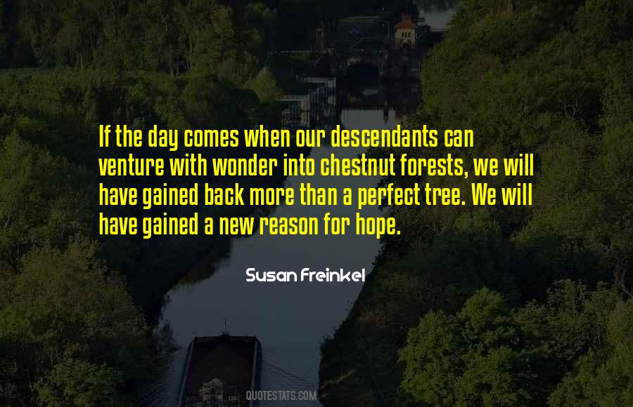New Tree Quotes #610328