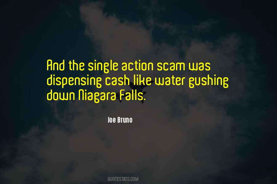 Niagara Quotes #1679396