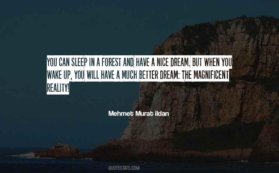 Nice Dream Quotes #607290