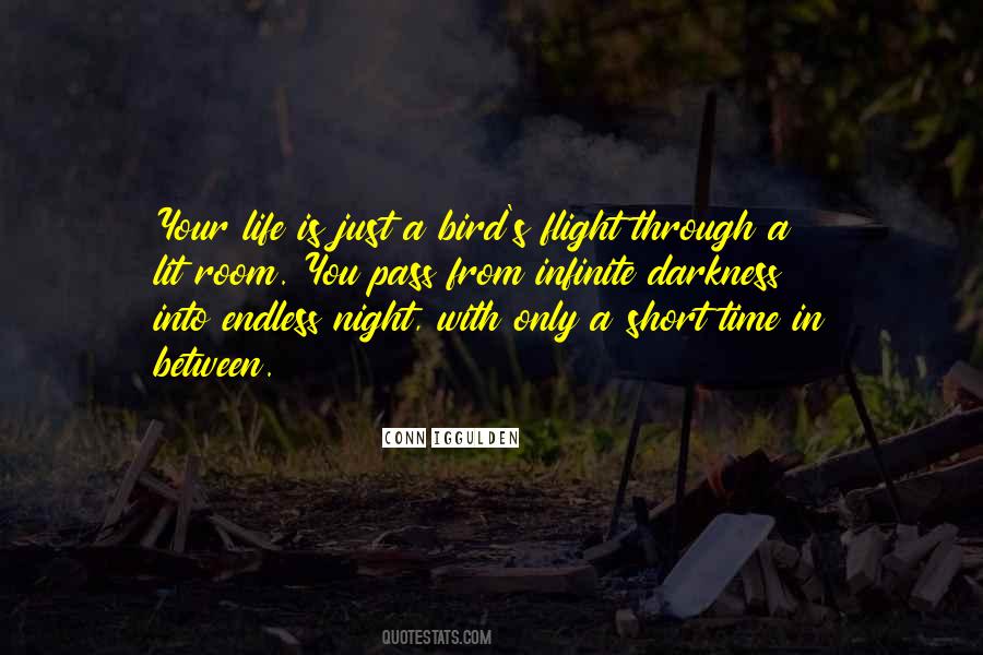 Night Bird Quotes #1055476