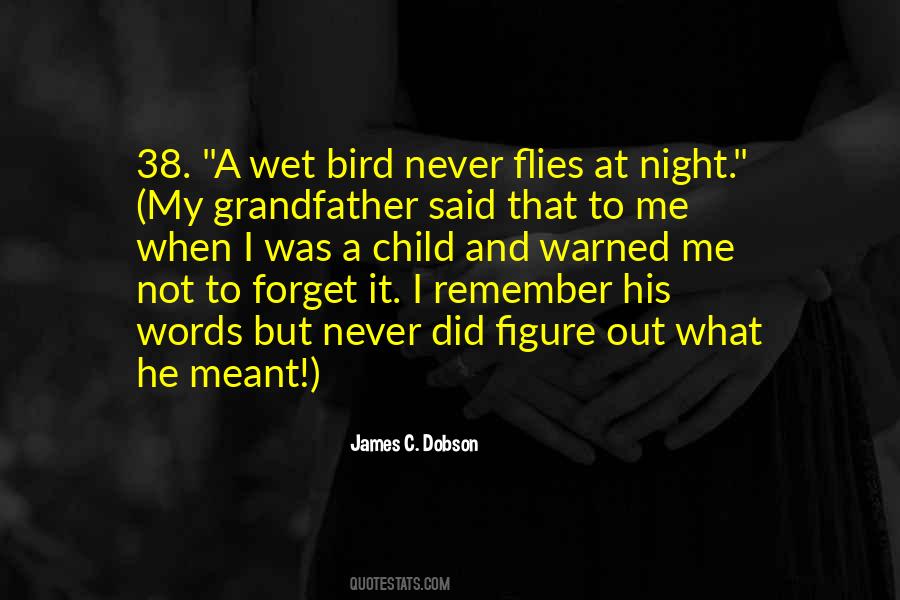 Night Bird Quotes #1439578
