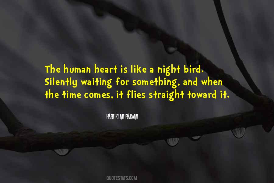 Night Bird Quotes #1554600