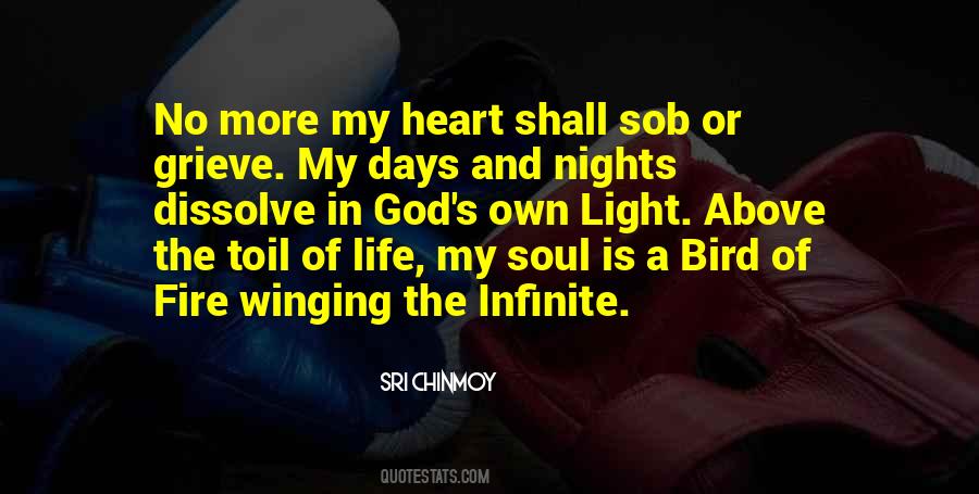 Night Bird Quotes #843860