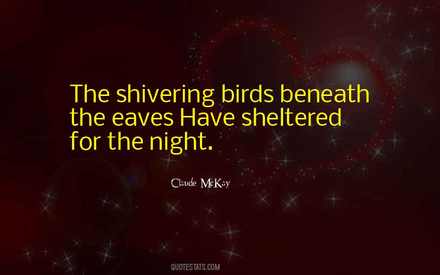 Night Bird Quotes #862740