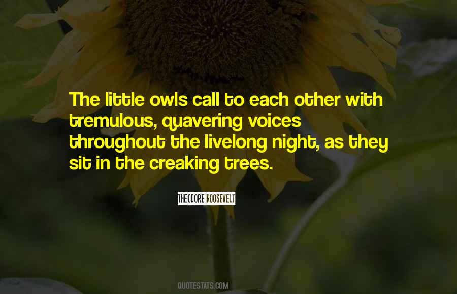 Night Call Quotes #870187