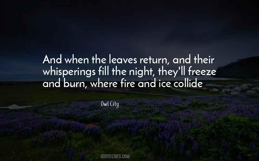 Night Fire Quotes #226755