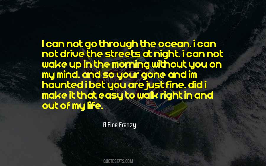 Night Streets Quotes #26662