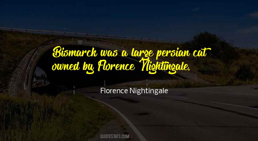 Nightingale Florence Quotes #845650