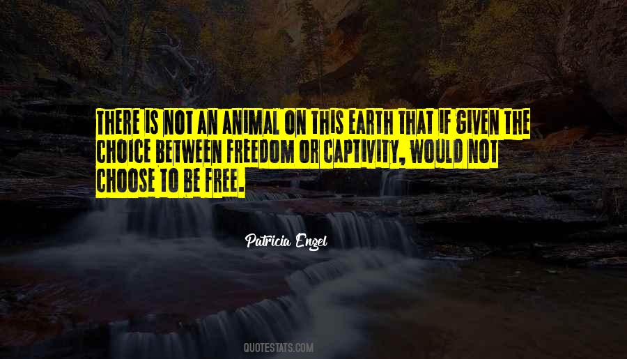 Quotes About Captivity And Freedom #781752