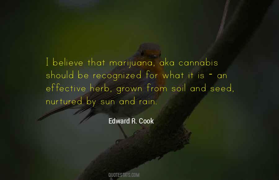 Quotes About Cannabis #1617296