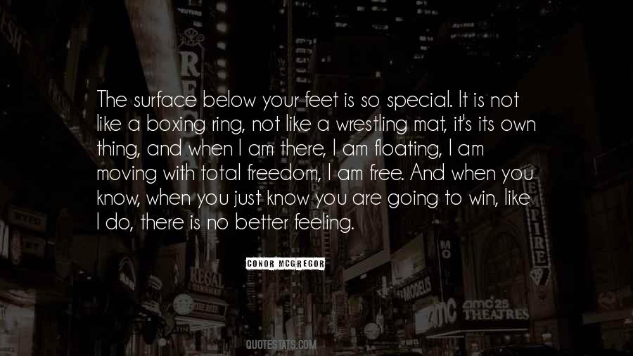 No Better Feeling Quotes #1384058