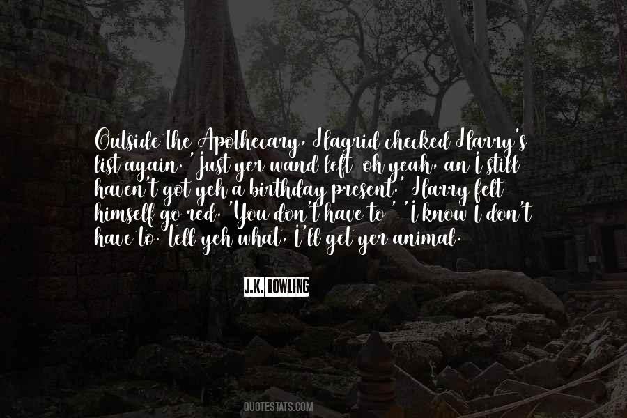 No Birthday Present Quotes #724098
