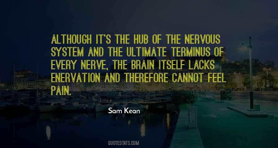 No Brain No Pain Quotes #350882