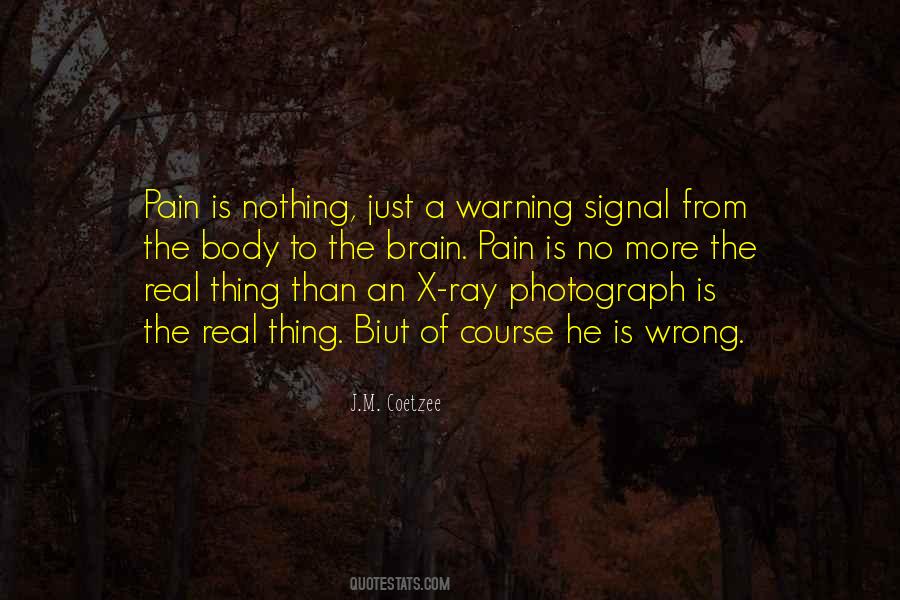 No Brain No Pain Quotes #481920